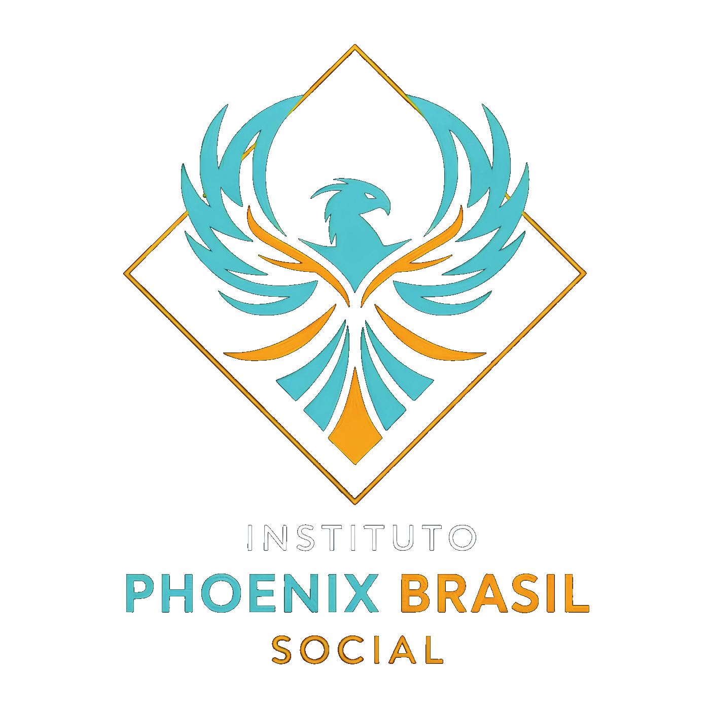 Instituto Phoenix Brasil Social